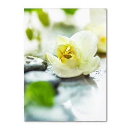 Trademark Fine Art Johanna 'Zen Orchid' Canvas Art, 18x24 1X00754-C1824GG